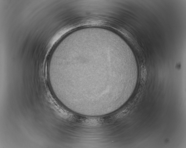 X0000116031078200912111410