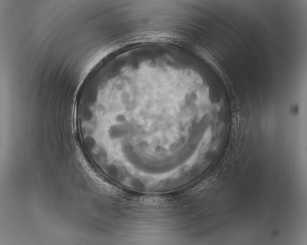 X0000116031079200912111410