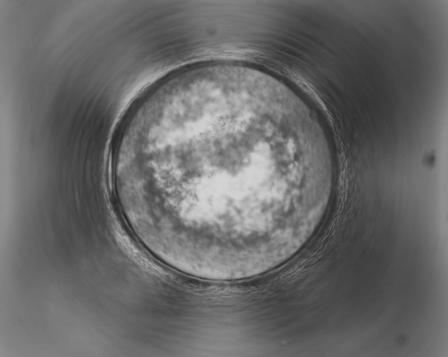 X0000116031080200912111410