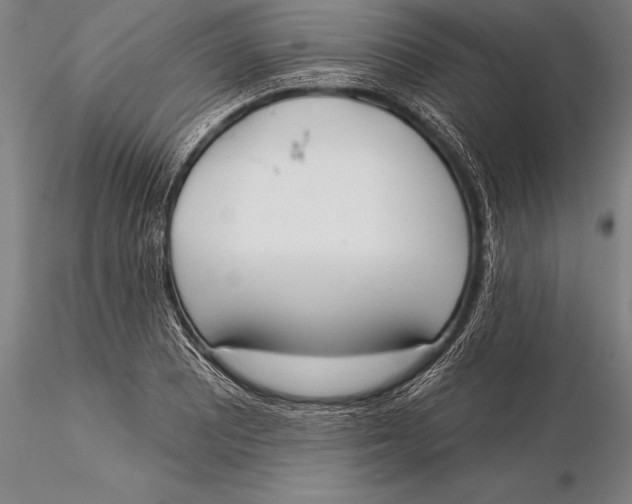 X0000116031081200912111410