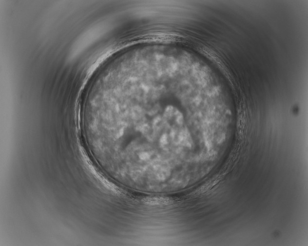 X0000116031083200912111410