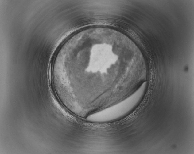 X0000116031084200912111410