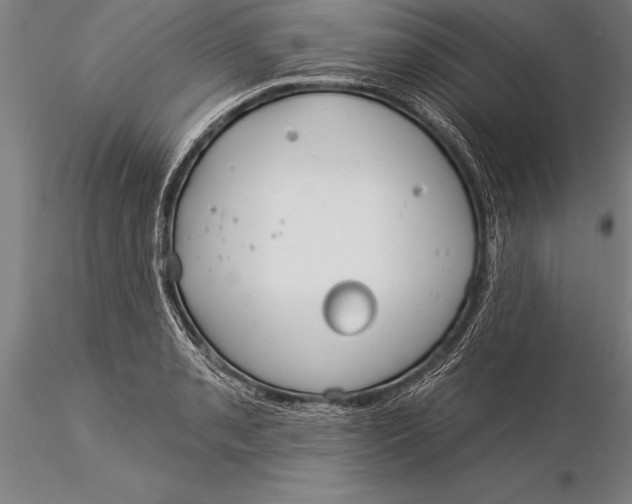 X0000116031085200912111410