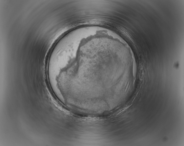 X0000116031087200912111410