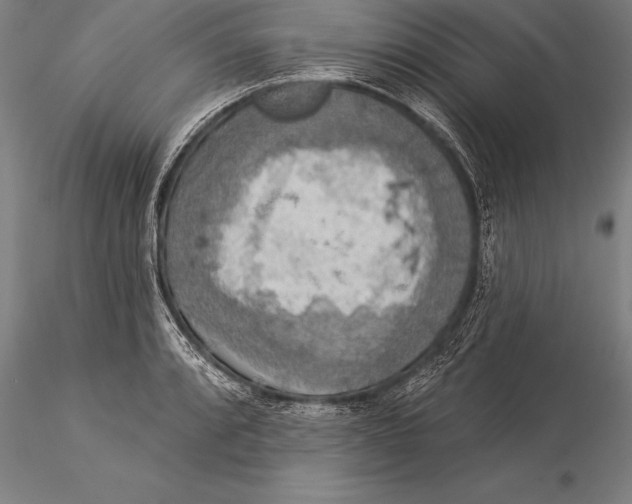 X0000116031088200912111410