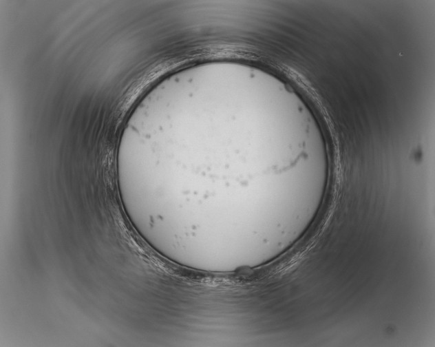 X0000116031089200912111410