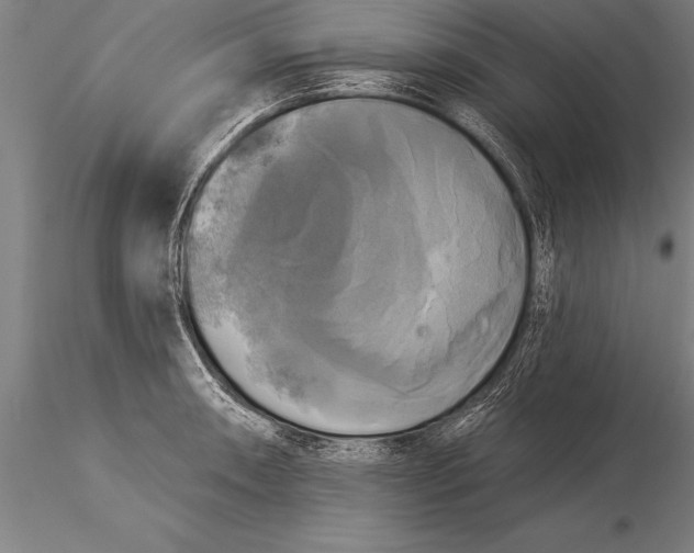 X0000116031090200912111410