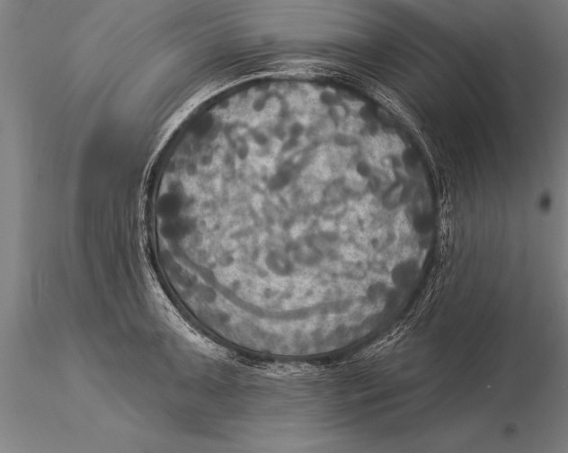 X0000116031091200912111410