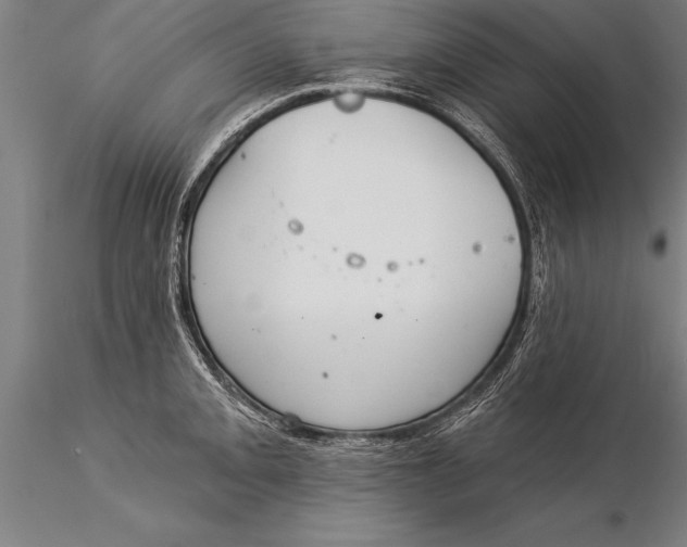 X0000116031093200912111410