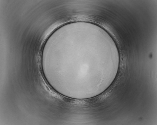 X0000116031094200912111410