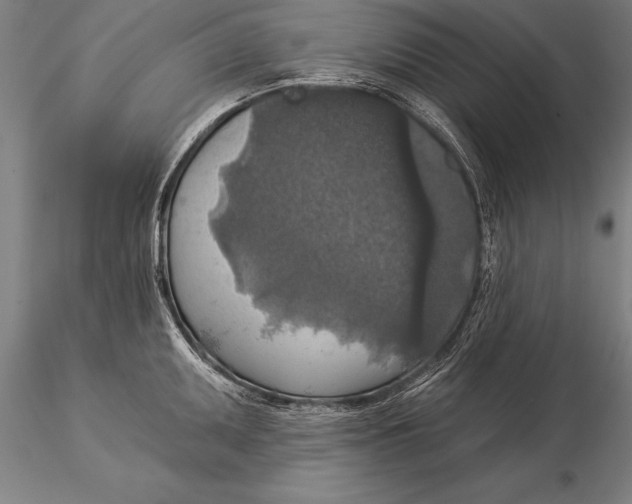 X0000116031095200912111410