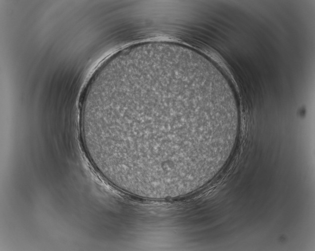 X0000116031096200912111410