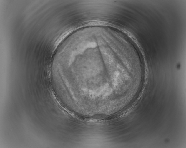 X0000116031097200912111410