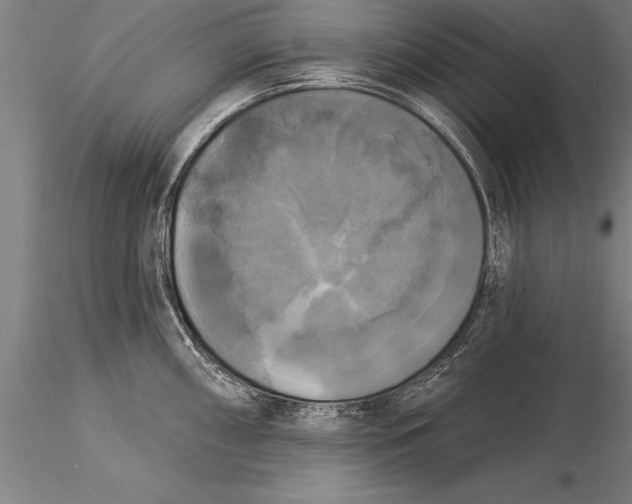 X0000116031098200912111410