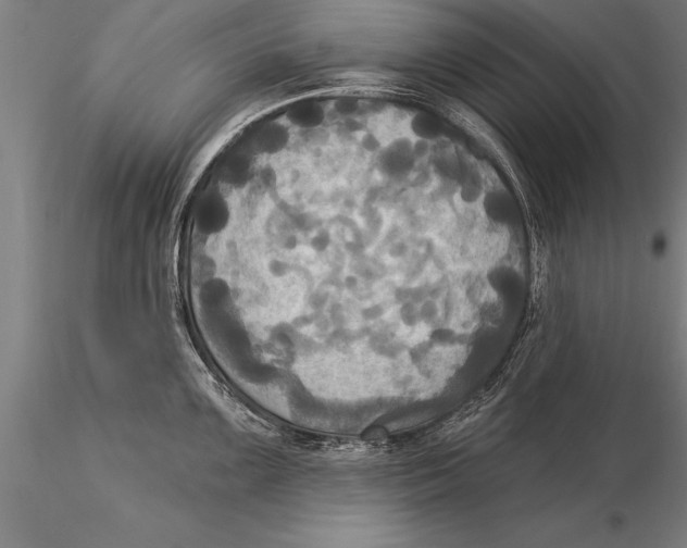 X0000116031099200912111410