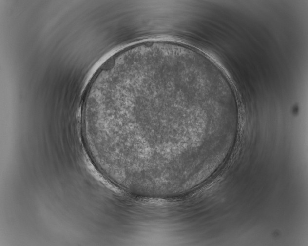 X0000116031100200912111410