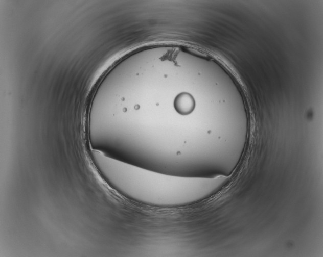 X0000116031101200912111410