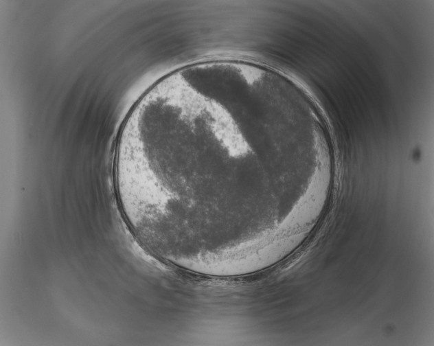 X0000116031102200912111410