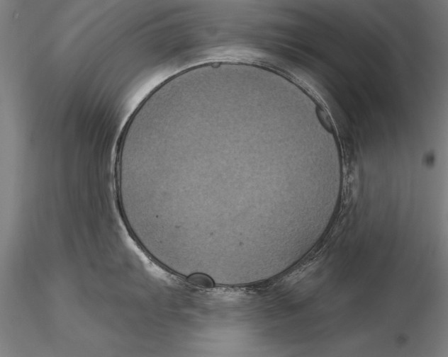 X0000116031103200912111410