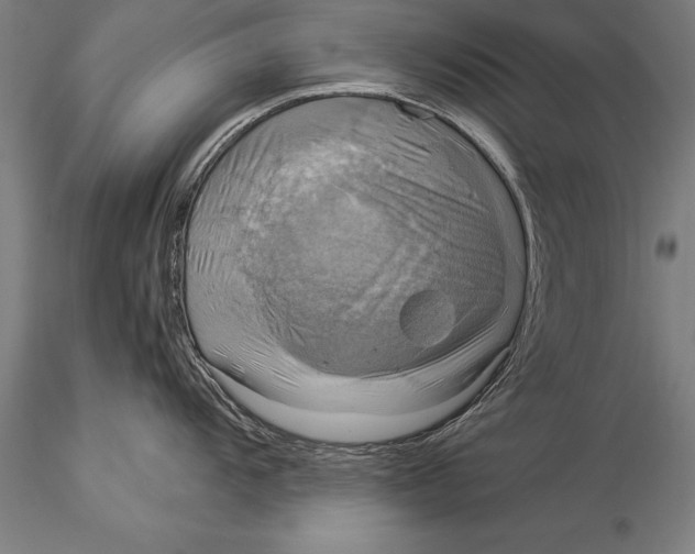 X0000116031104200912111410