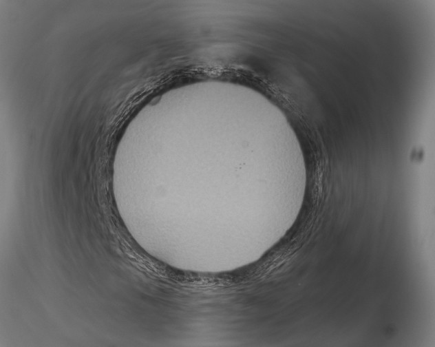 X0000116031105200912111409