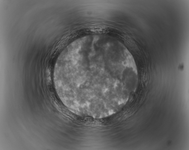 X0000116031106200912111409