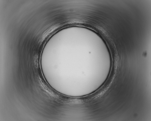 X0000116031113200912111409