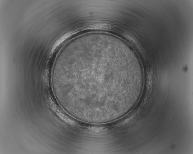 X0000116031114200912111409