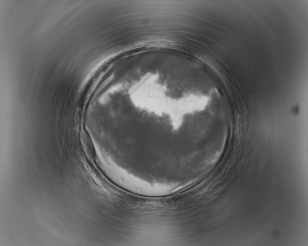 X0000116031115200912111409