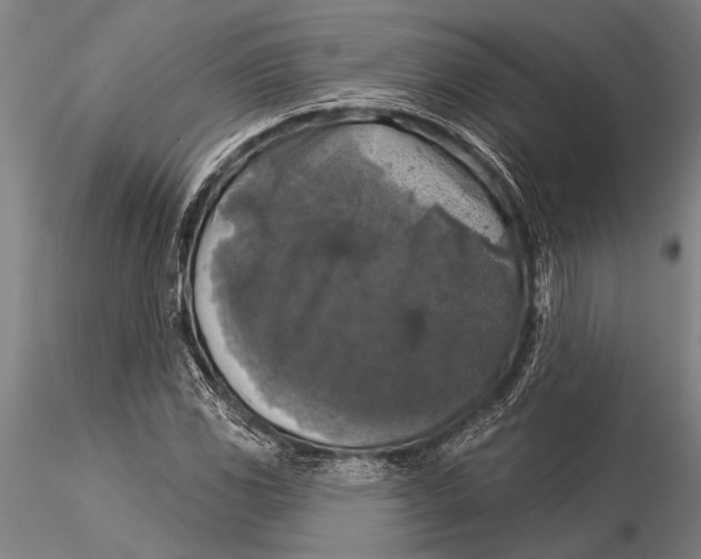 X0000116031117200912111409