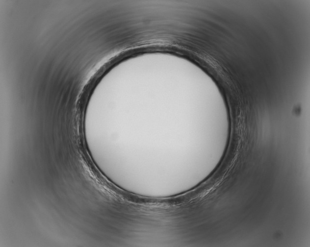 X0000116031118200912111409