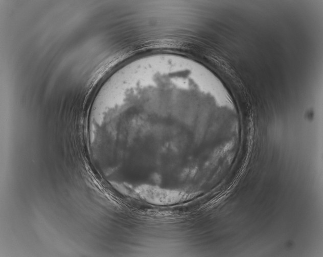 X0000116031121200912111409