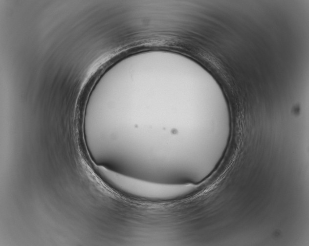 X0000116031122200912111409