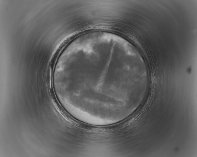 X0000116031123200912111409