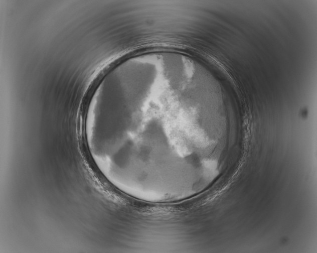 X0000116031125200912111409