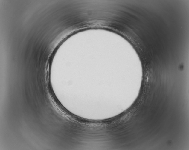 X0000116031126200912111409