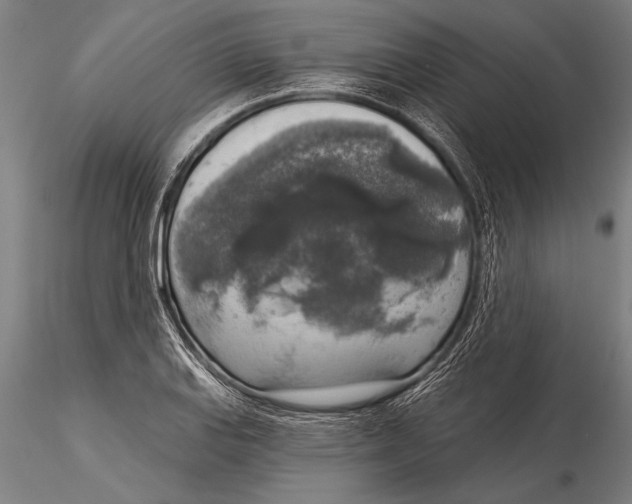 X0000116031127200912111409