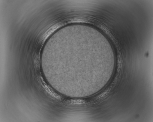 X0000116031129200912111409