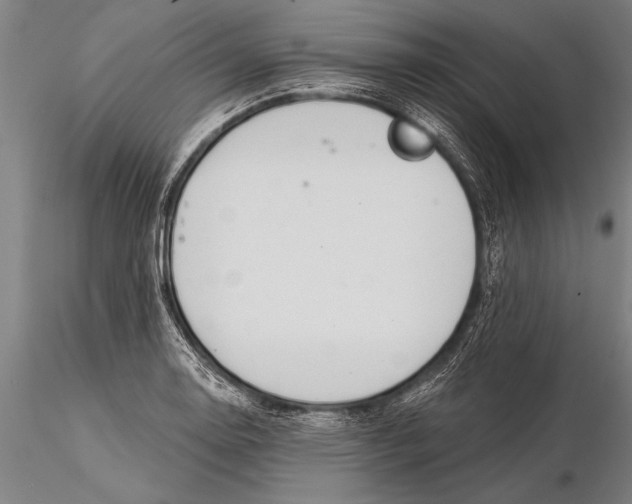 X0000116031130200912111409