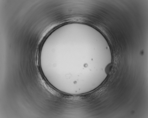 X0000116031131200912111409