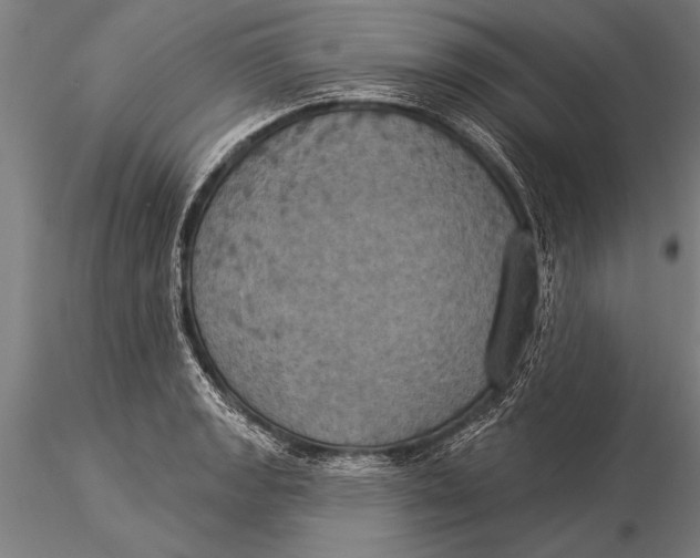 X0000116031133200912111410