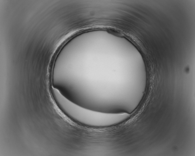 X0000116031134200912111410