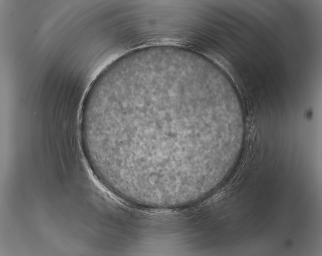 X0000116031135200912111410