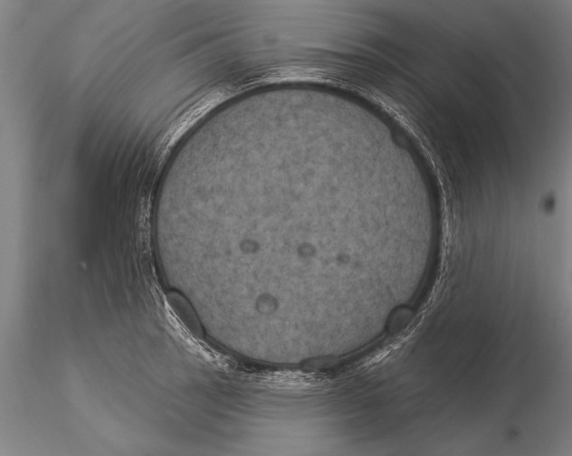 X0000116031137200912111410