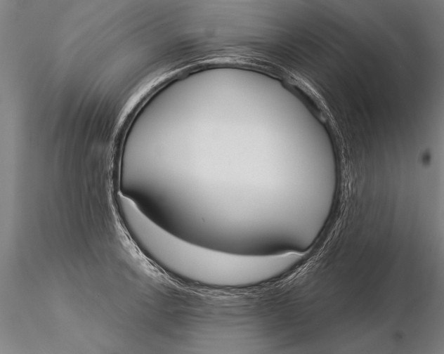 X0000116031138200912111410