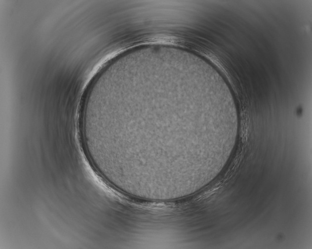 X0000116031139200912111410