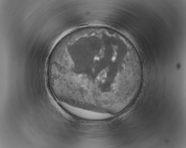 X0000116031142200912111410