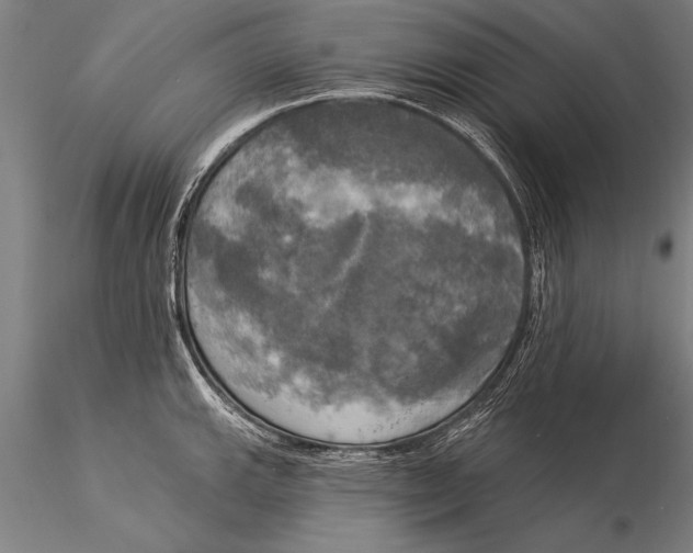 X0000116031143200912111410