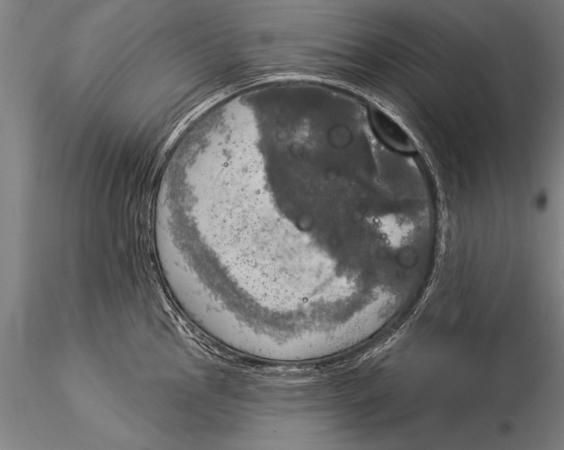 X0000116031145200912111410