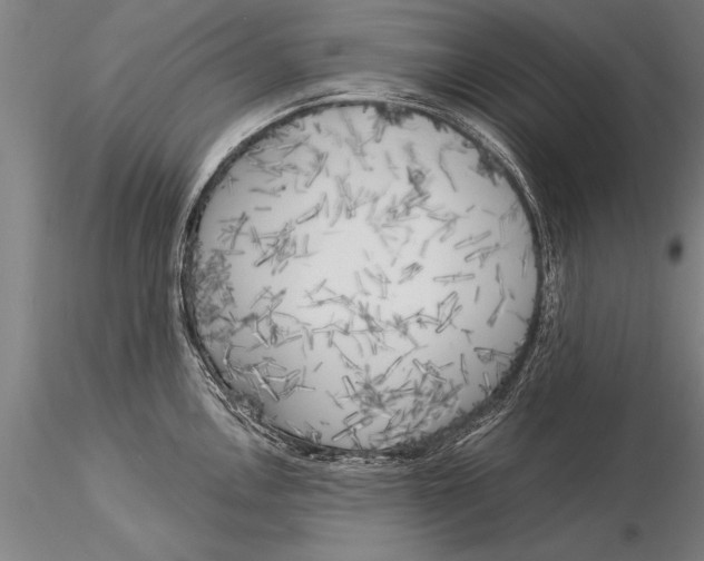 X0000116031146200912111410